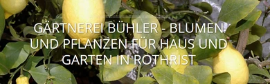 Gärtnerei Bühler GmbH