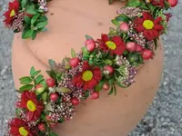 Blumen Zweerus