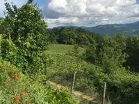 La Bottega Secondo Natura di Olivone