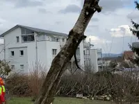 Liegenschaftenservice Hans Müller GmbH