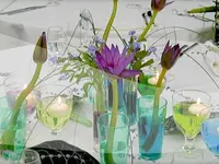 Blumenland Schweiz AG
