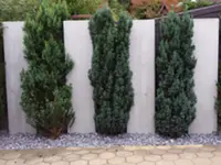 HRFA BAU GmbH