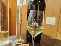 Cave des Bouquetins SA