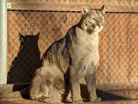 Plättli-Zoo AG - Klicken Sie, um das Bild 2 in einer Lightbox vergrössert darzustellen