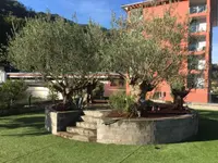 Biava Mattia - Giardiniere paesaggista