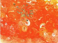 Arrigoni Handel mit Kunst & Kunstmarketing