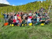 Baumgartner Weinbau AG