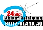 Ablauf Reinigung Blitz-Blank AG-Logo