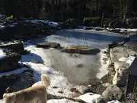 Gander Gartenbau
