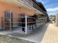 Reit- und Fahrstall Enderli