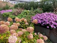 zehnder-garten GmbH