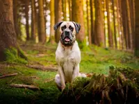 Dominik Müller Fotografie - Klicken Sie, um das Bild 6 in einer Lightbox vergrössert darzustellen