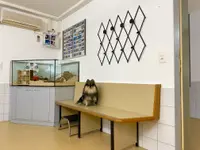 Marigin Tierarztpraxis Farnenbüel
