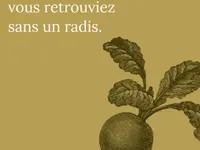 ALC Conseils Immobiliers