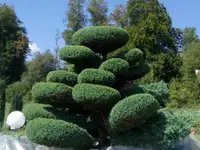 MM Gartenpflege GmbH - Klicken Sie, um das Bild 2 in einer Lightbox vergrössert darzustellen