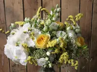 KALIS Fleurs