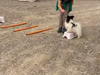 4happypets.ch, Inhaberin Schön