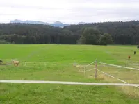 Ranch du p'tit bonheur