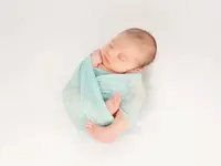 Stelmes Photography