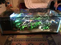Aquarium-Bassin SARL