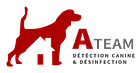 A-Team Désinfection-Logo