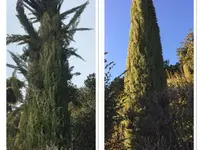 Almeida Giardini - Klicken Sie, um das Bild 18 in einer Lightbox vergrössert darzustellen