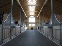 Schlosserei Rupp AG