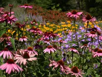 Kelpe Gartenbau