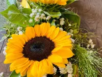 Fiori Astrid Sagl