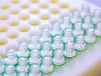 SHI Haus der Homöopathie