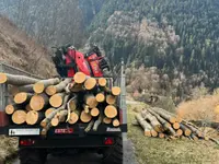 ONSFOREST Sagl