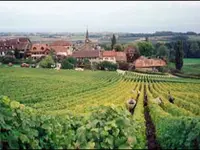 Cave du Vieux-Coteau Sàrl