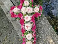 L'Univers Krebs Fleurs