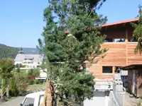 Möckel Baumschulen Pflanzencenter GmbH