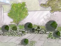 VITA VERDE AG