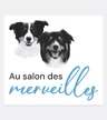 Au Salon Des Merveilles