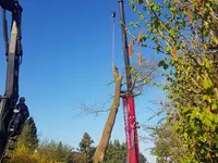 Gschwind Gartenarbeiten GmbH