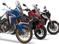 Daytona Shop SA