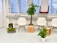 Katzen-Praxis.ch