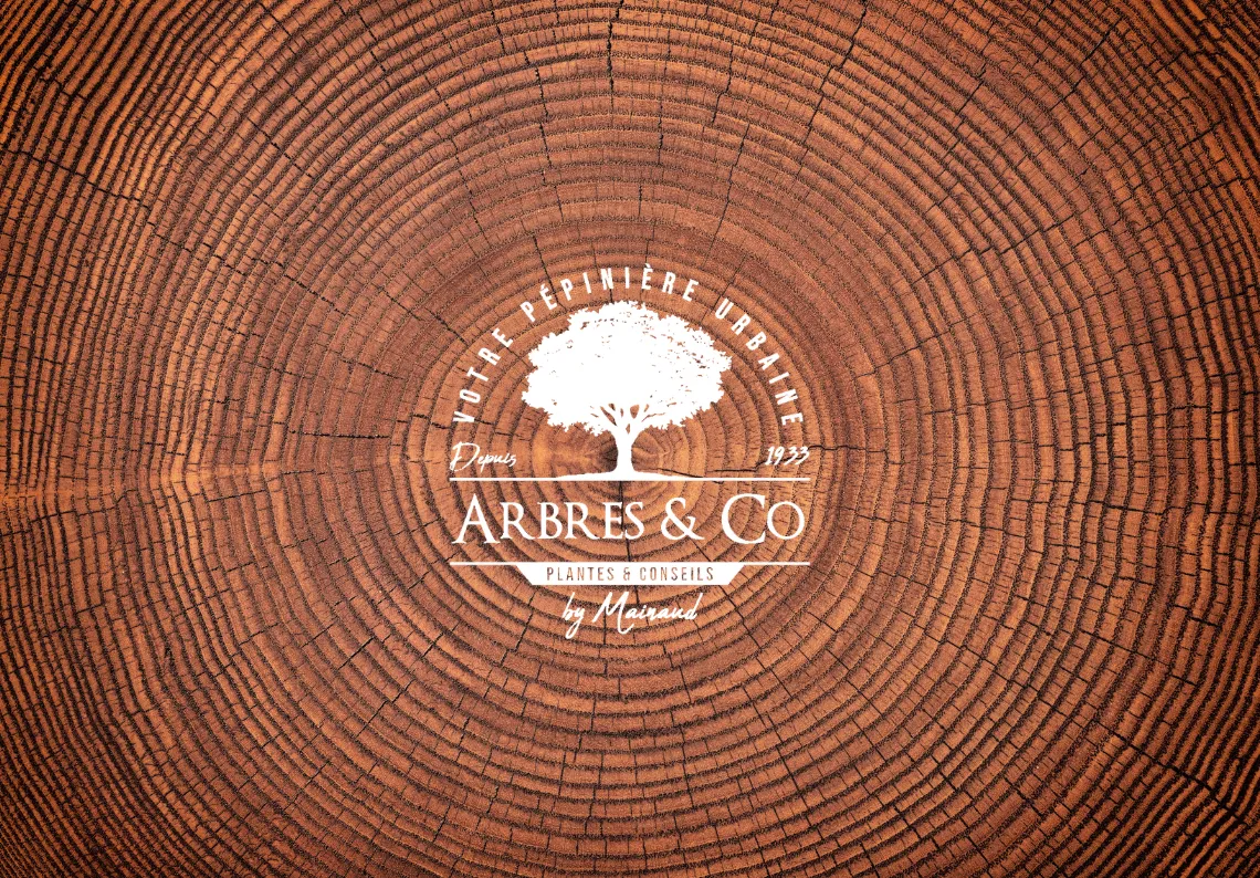 Arbres & co