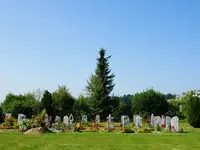 M&M Gartenbau AG