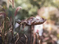 Blüten-Bijou GmbH