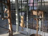 Tierarztpraxis im Hölzli