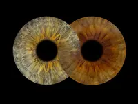 You & Eye Photo Montreux