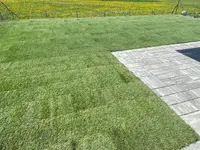 Gatti e Ticozzi Giardini Sagl