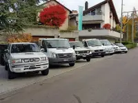 Braun Gartenbau AG