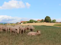 La Ferme En Croix