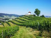 Weinbau Kaiserspan - Klicken Sie, um das Bild 5 in einer Lightbox vergrössert darzustellen