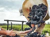 Domaine des Biolles