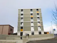Holzbau Meier AG
